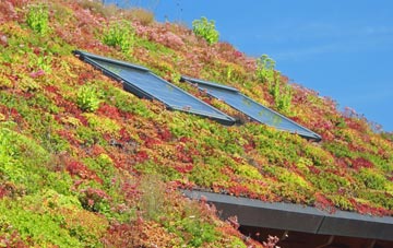 Muir Of Fowlis living roof systems