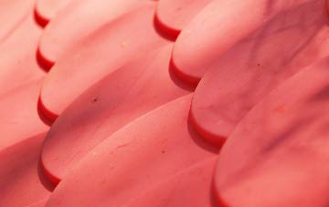 Muir Of Fowlis plastic roof costs